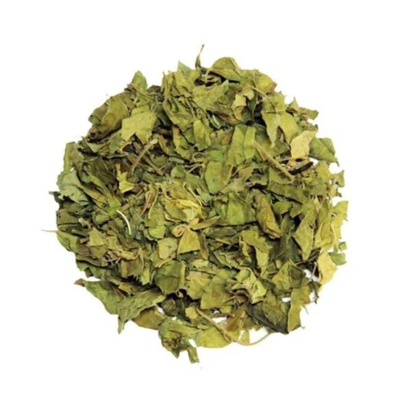 Feuilles de Gymnema, 100 % Naturelles - أوراق الجيمنِيما