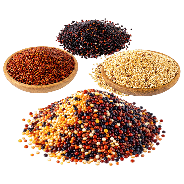 graines bio maroc gogi