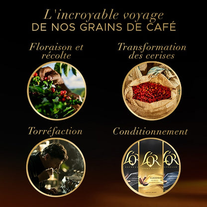 Café en grains Brésil, intensité 5 Délicat, 900g - L'OR