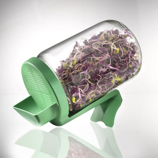 Germoir Bocal - GERMLINE Maroc vente en ligne epicerie Fine 