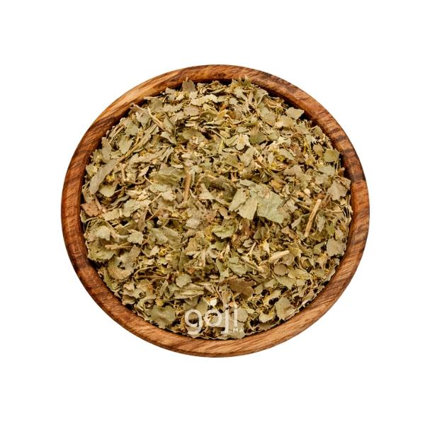 Alchémille Séchée (Alchemilla vulgaris) – السيدة عباءة