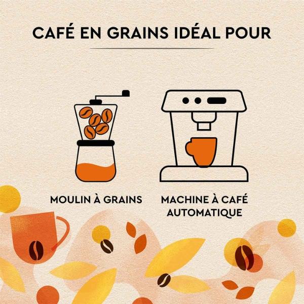 قهوة حبوب إفطار مكثف وسخي، 1 كغ - Carte Noire