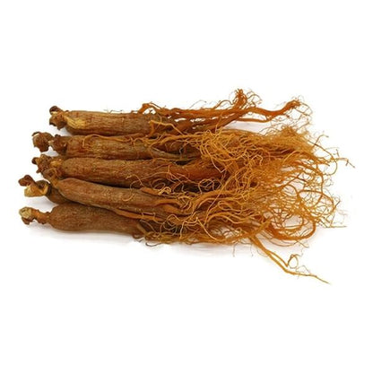 Ginseng rouge en racines جذور الجينسنغ الأحمر