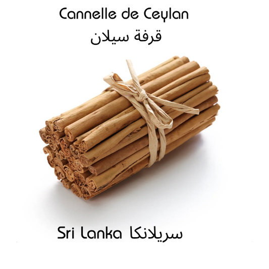 Cannelle de Ceylan Premium en Bâtons Longs (18 cm) - C5 | قرفة سيلان طويلة