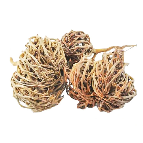 Herbe de palmier de Maryam / عشبة كف مريم