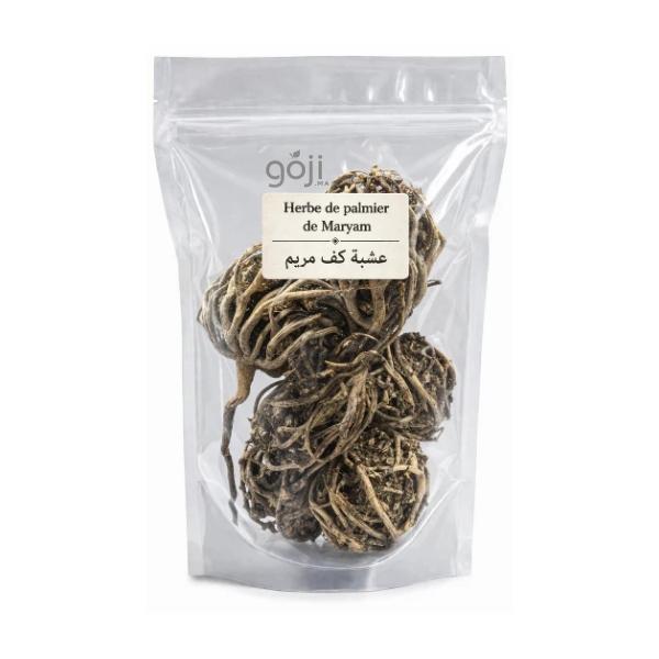 Herbe de palmier de Maryam, عشبة كف مريم - GOJI.MA