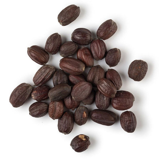 Graines de jojoba - بذور الجوجوبا