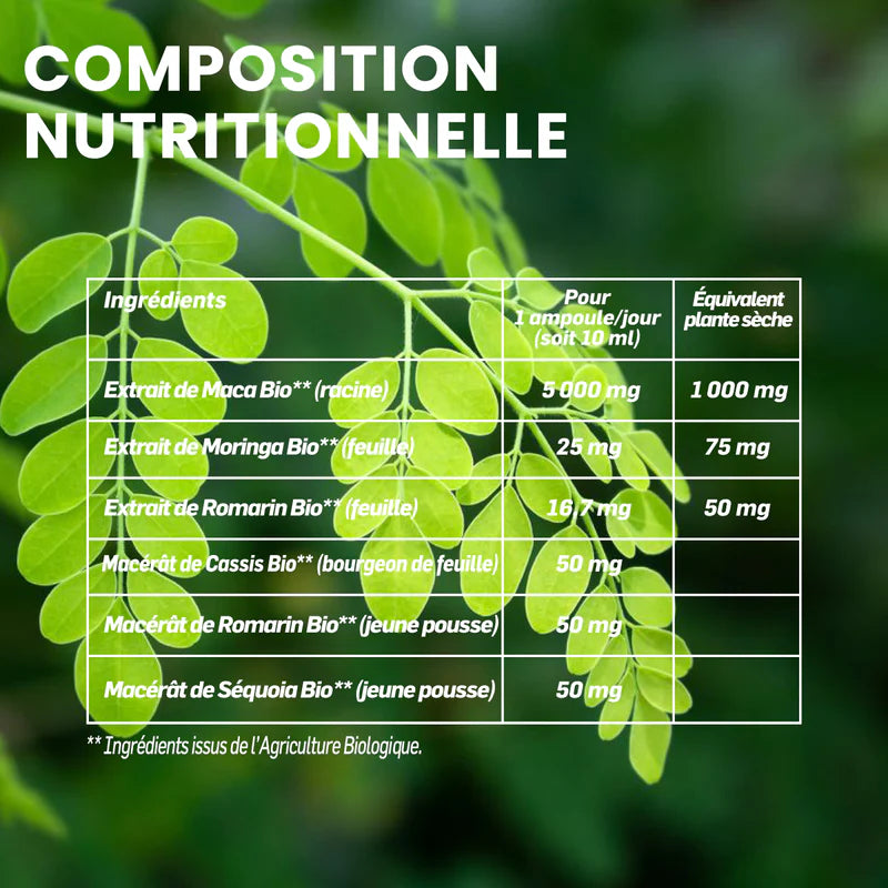 Moringa Maca Bio, 20 ampoules - SANTAROME BIO