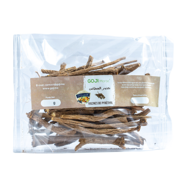 Racines de pyrèthre  عود العطاس - تقنديشت -  عود القرحان Maroc vente en ligne epicerie Fine 