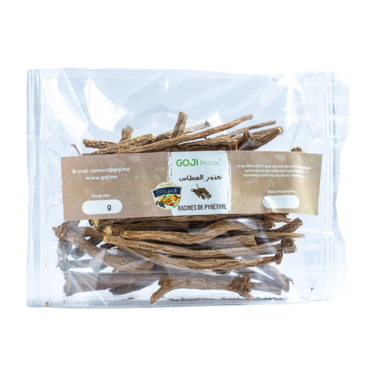 Racines de pyrèthre  عود العطاس - تقنديشت -  عود القرحان Maroc vente en ligne epicerie Fine 