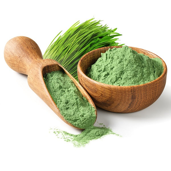 Poudre d'herbe de blé Bio wheatgrass - بودرة عشبة القمح العضوي Maroc vente en ligne epicerie Fine 