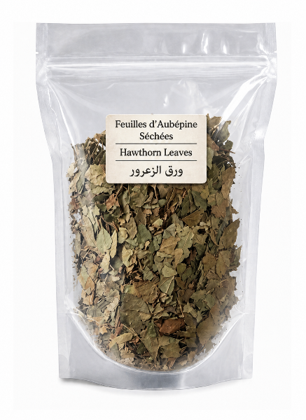 Feuilles d’Aubépine Séchées - Hawthorn leaves - ورق زعرور