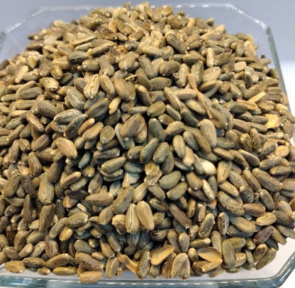 Graines Cynara cardunculus خرشوف شوكي أو الخرشف  أو الأنكينار