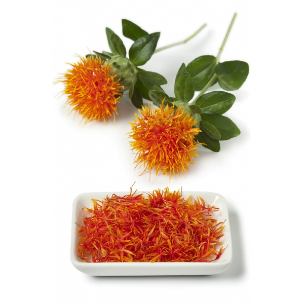 Carthame linoléique - نبات العصفر  Safflower