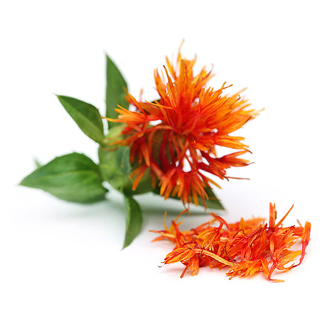 Carthame linoléique - نبات العصفر  Safflower