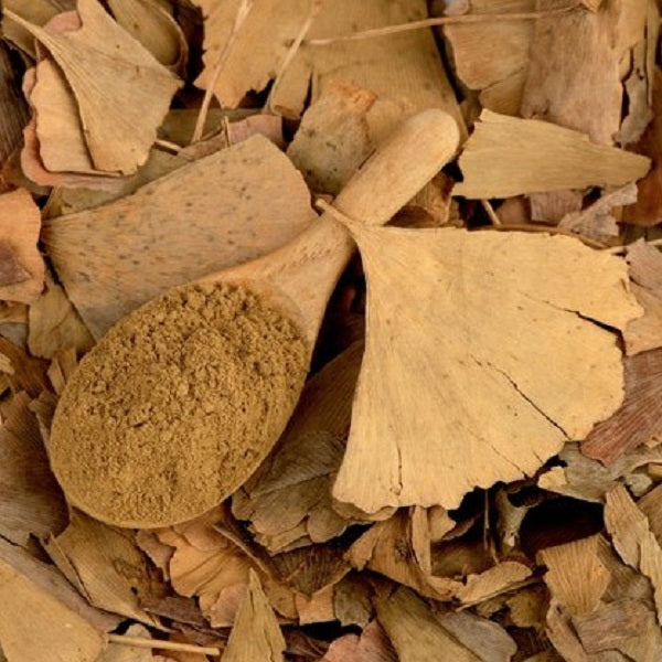 Ginkgo Biloba en poudre - مسحوق  جينكو بيلوبا