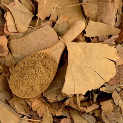 Ginkgo Biloba en poudre - مسحوق  جينكو بيلوبا