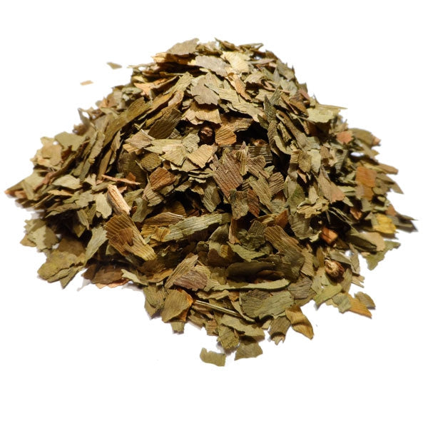Ginkgo Biloba - Feuille coupée أوراق جينكو بيلوبا