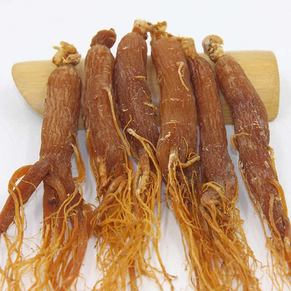 Ginseng rouge  الجينسنغ الأحمر