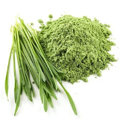 Poudre d'herbe de blé Bio wheatgrass - بودرة عشبة القمح العضوي