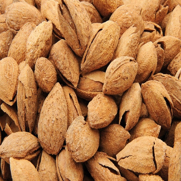 Amandes avec coque en vrac - لوز بالقشرة